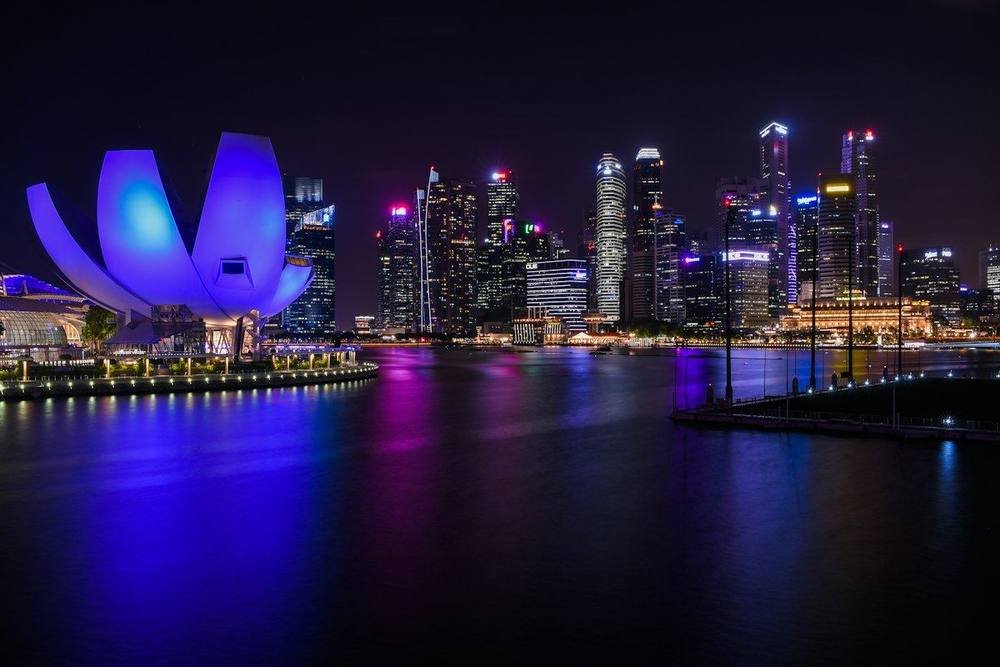 city skyline during night time