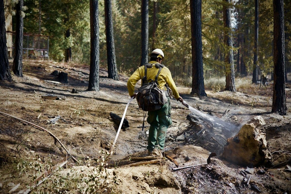 A firefighter extinguishes a fire in the forest