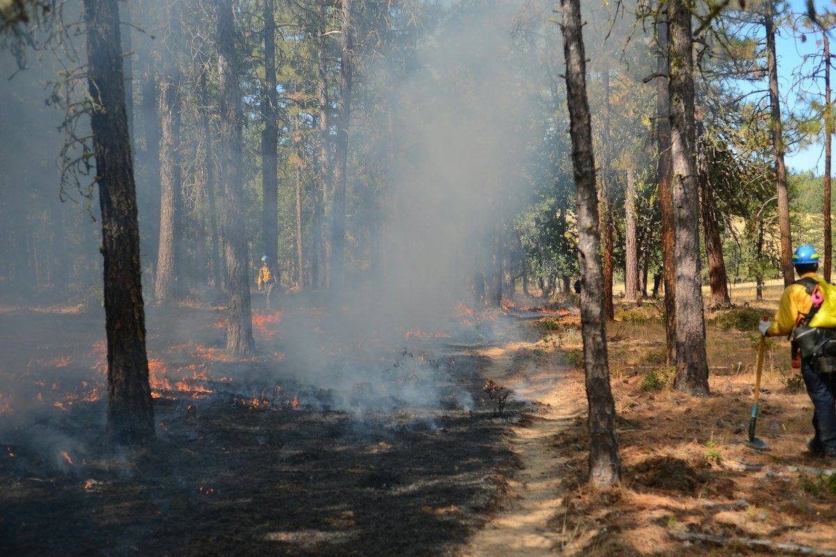 Forest fire with smoke and firefighters present