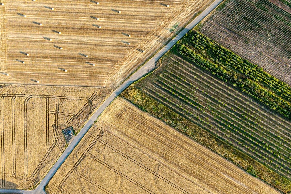 Patchwork of golden and green farm fields from above