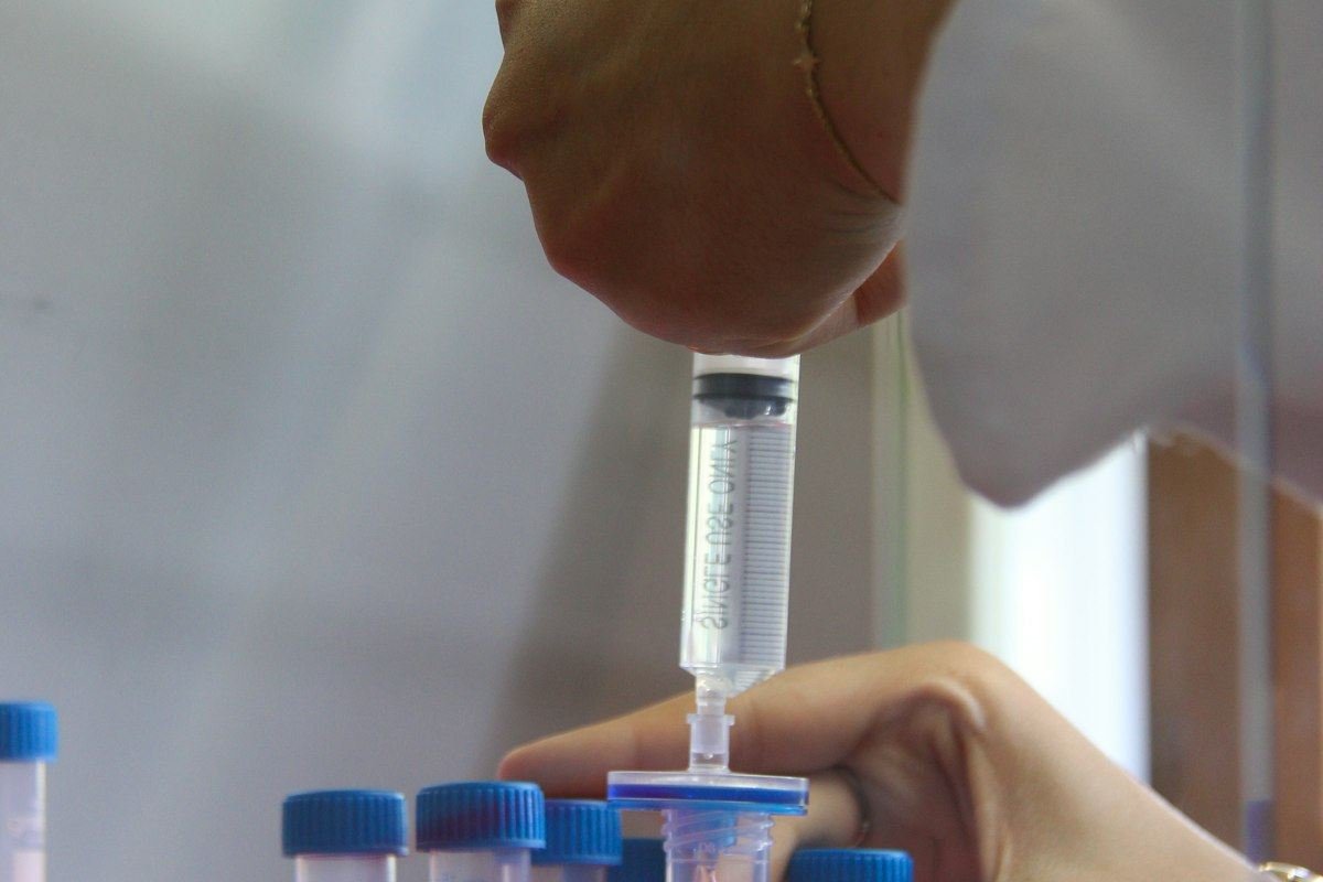 A scientist is working in a laboratory